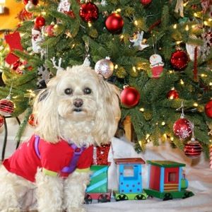 Meet your Posher, Maria